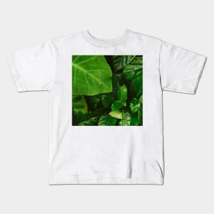 Lush Green Dewy Leaves Kids T-Shirt